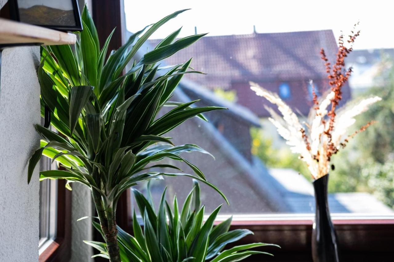 Nature Terminal Apartment - Unterwegs Zuhause Steinenbronn Dış mekan fotoğraf
