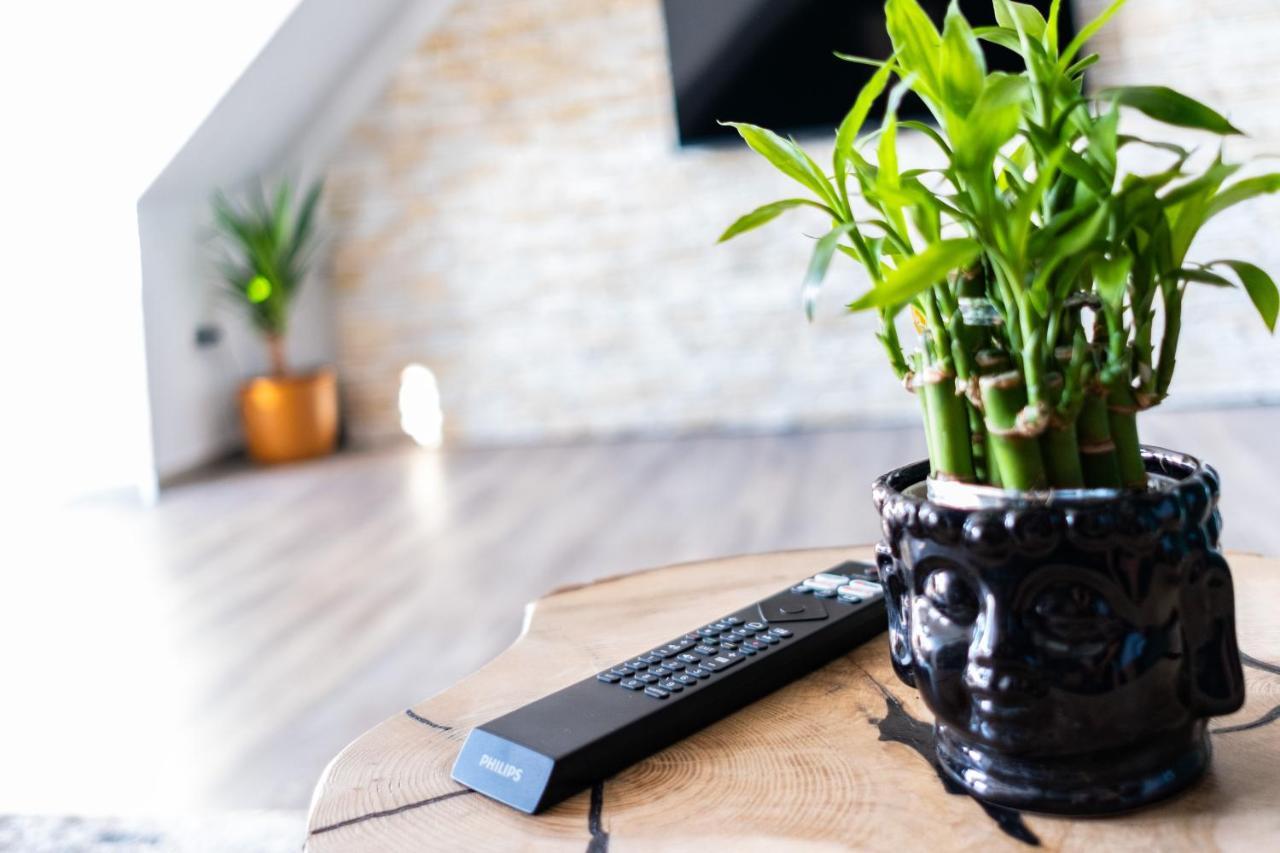 Nature Terminal Apartment - Unterwegs Zuhause Steinenbronn Dış mekan fotoğraf